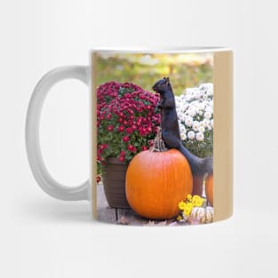 Black squirrel  from the look out Mug